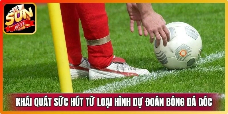 Khái quát sức hút từ loại hình dự đoán bóng đá góc hiện nay